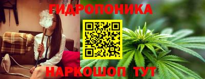 гашик Тула