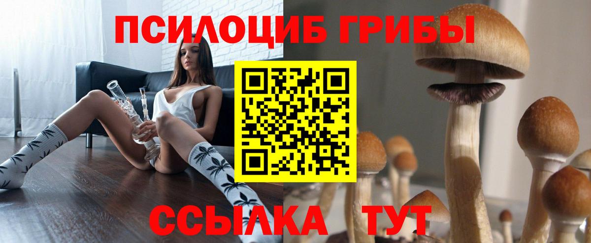 Псилоцибиновые грибы мицелий  Вход с VPN  Галлюциногенные грибы Cubensis  Артём 